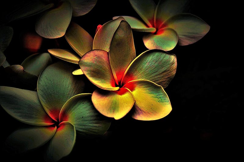 Parallel Realities Image